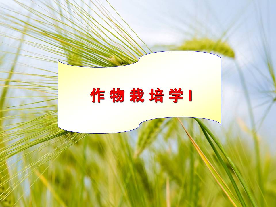 作物栽培学I 第11期课程封面