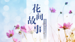 花间故事——花卉栽培养护及应用课程封面