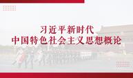 习近平新时代中国特色社会主义思想概论（2024-2025-1）课程封面