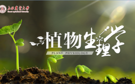植物生理学课程封面