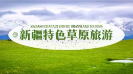 新疆特色草原旅游课程封面