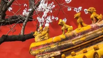 《全国导游基础知识》课程封面