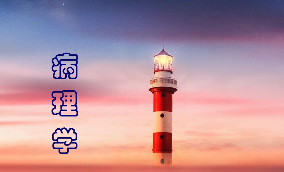 病理学课程封面
