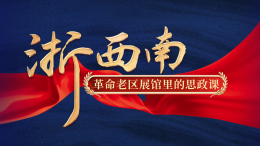 [共享课]浙西南革命老区展馆里的思政课课程封面