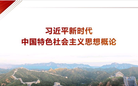 习近平新时代中国特色社会主义思想概论（杨帆）-副本课程封面