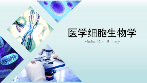 医学细胞生物学2024-2025第二学期课程封面