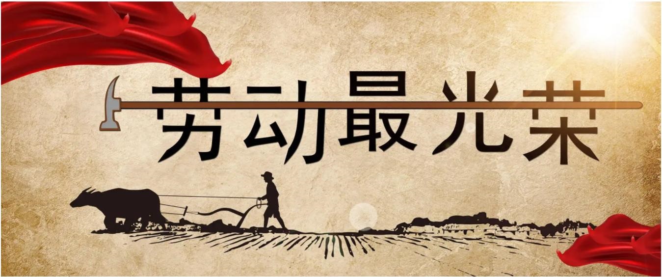 劳动教育（物电学院）课程封面