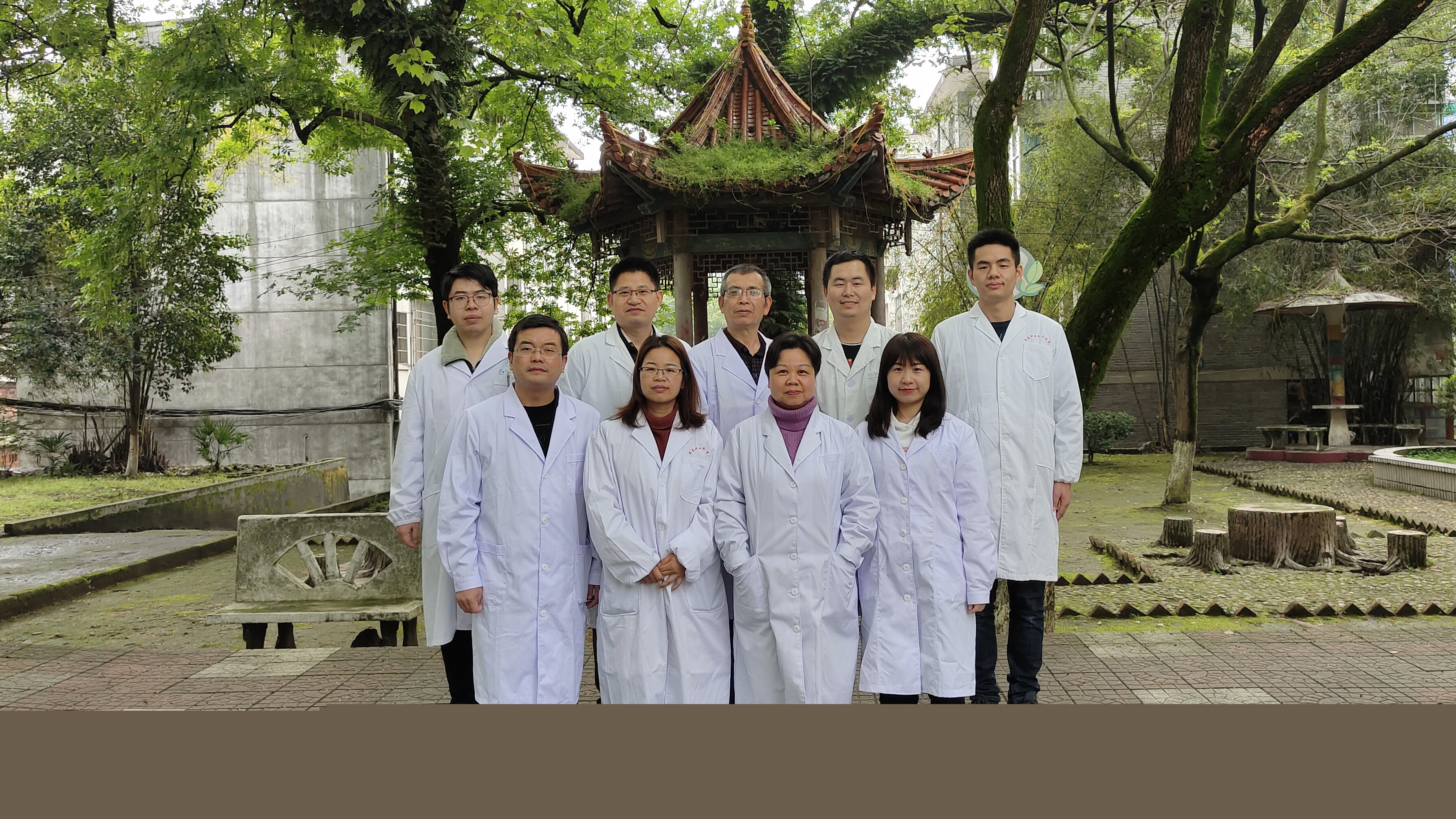 病理学基础课程封面