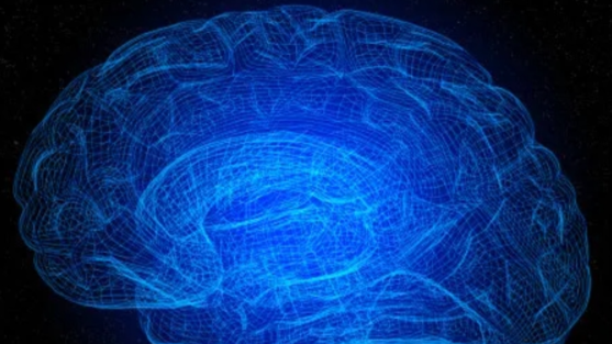 医学细胞生物学课程封面