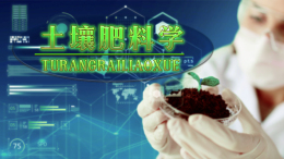 土壤肥料学（云南大学）课程封面