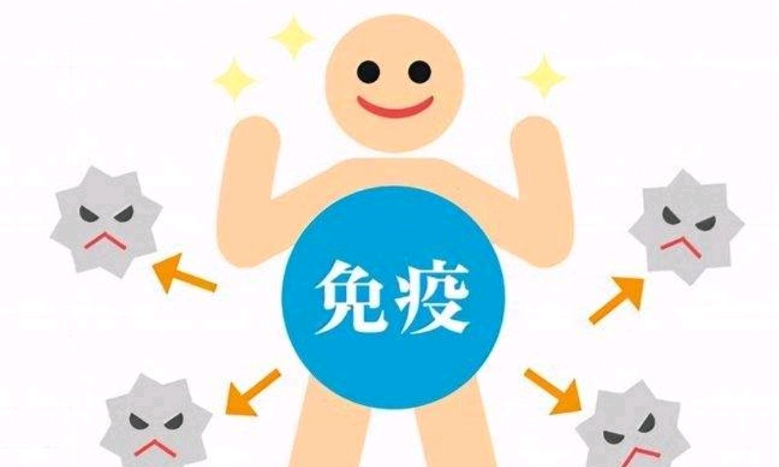 遵义医科大学2025年春季医学免疫学课程封面