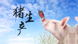 猪生产课程封面