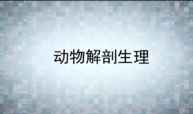 动物解剖生理课程封面