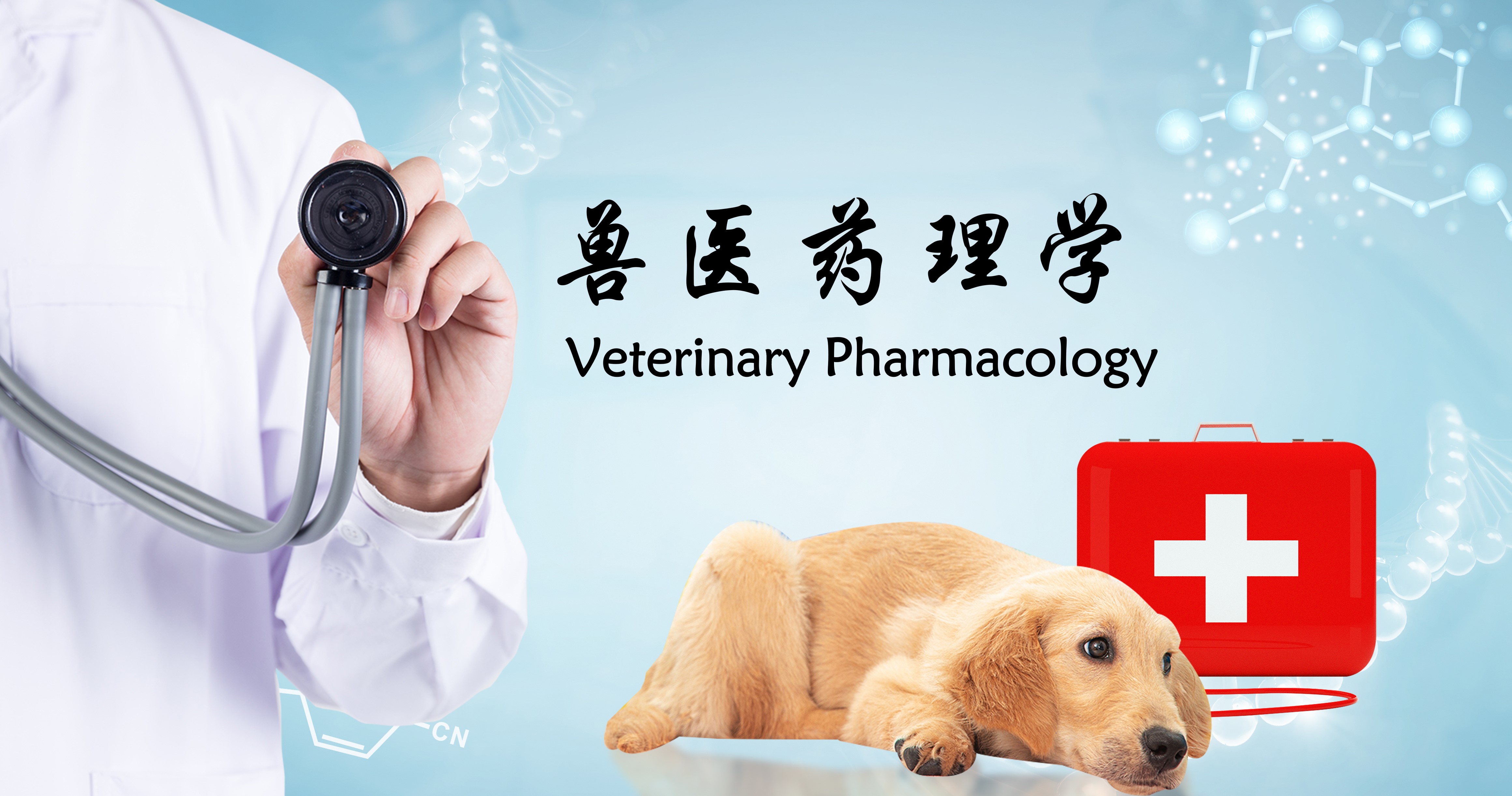 兽医药理学B课程封面