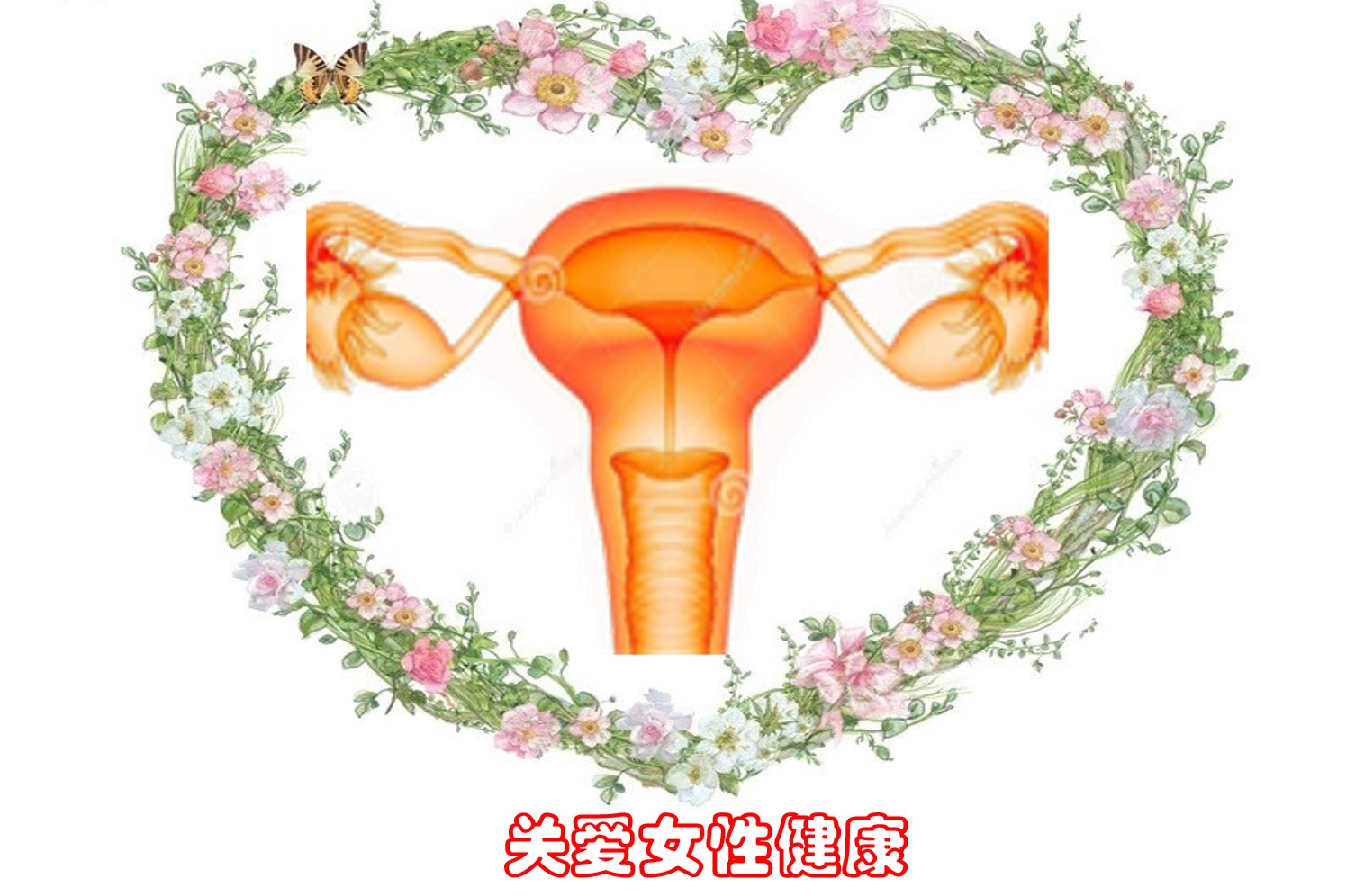 系统疾病学（女性生殖系统）课程封面