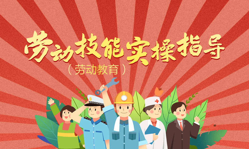 劳动技能实操指导（劳动教育）课程封面