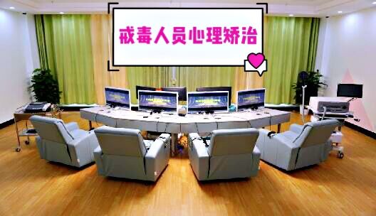 戒毒人员心理矫治课程封面