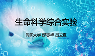 生命科学综合实验课程封面