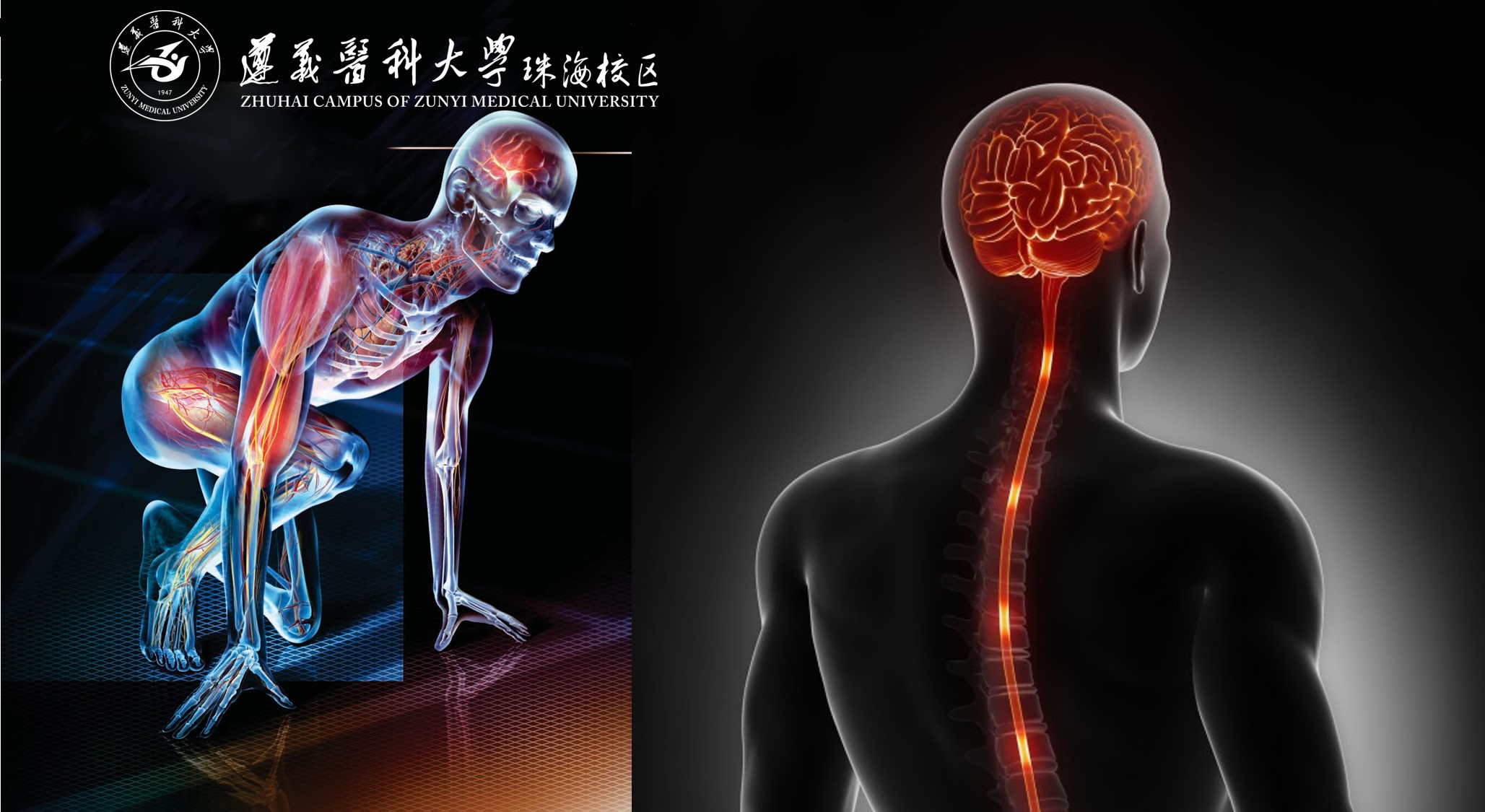 人体形态学(护理学类专业)课程封面