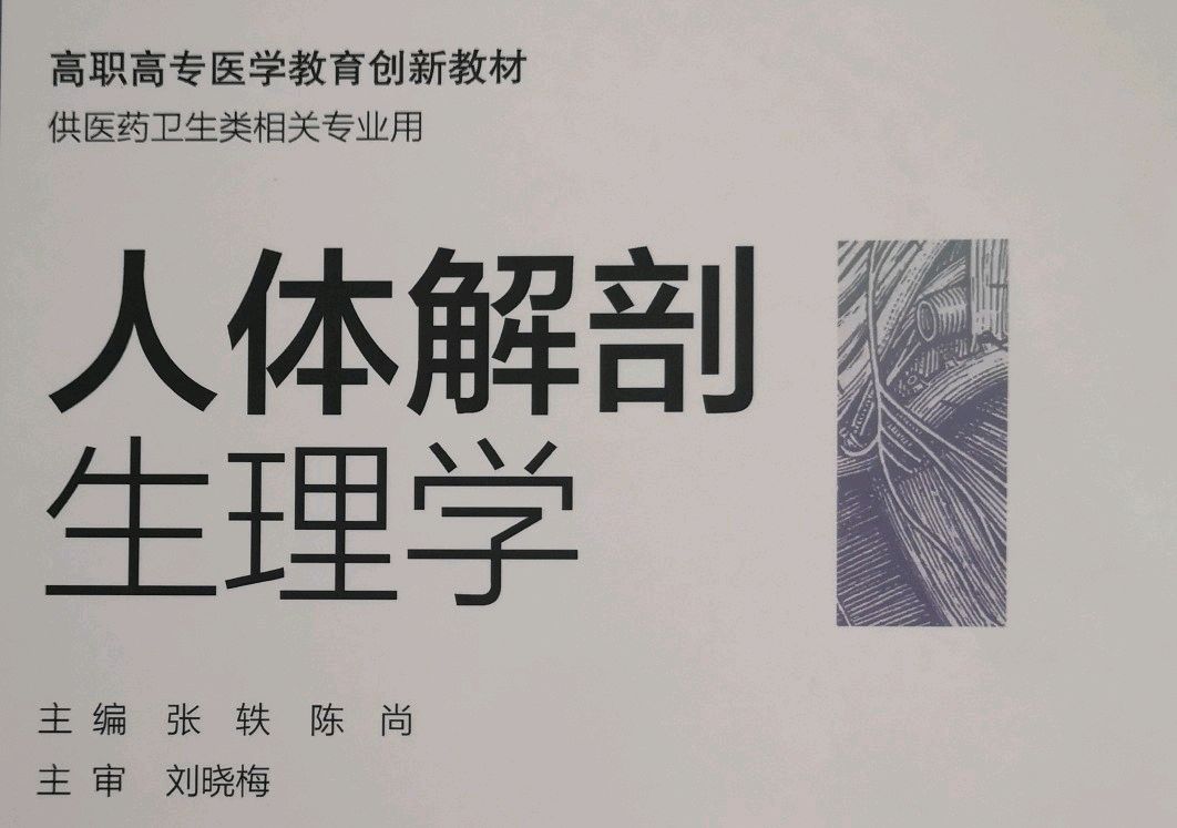 人体结构与功能课程封面