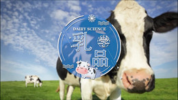 乳品科学与技术（山东联盟）课程封面