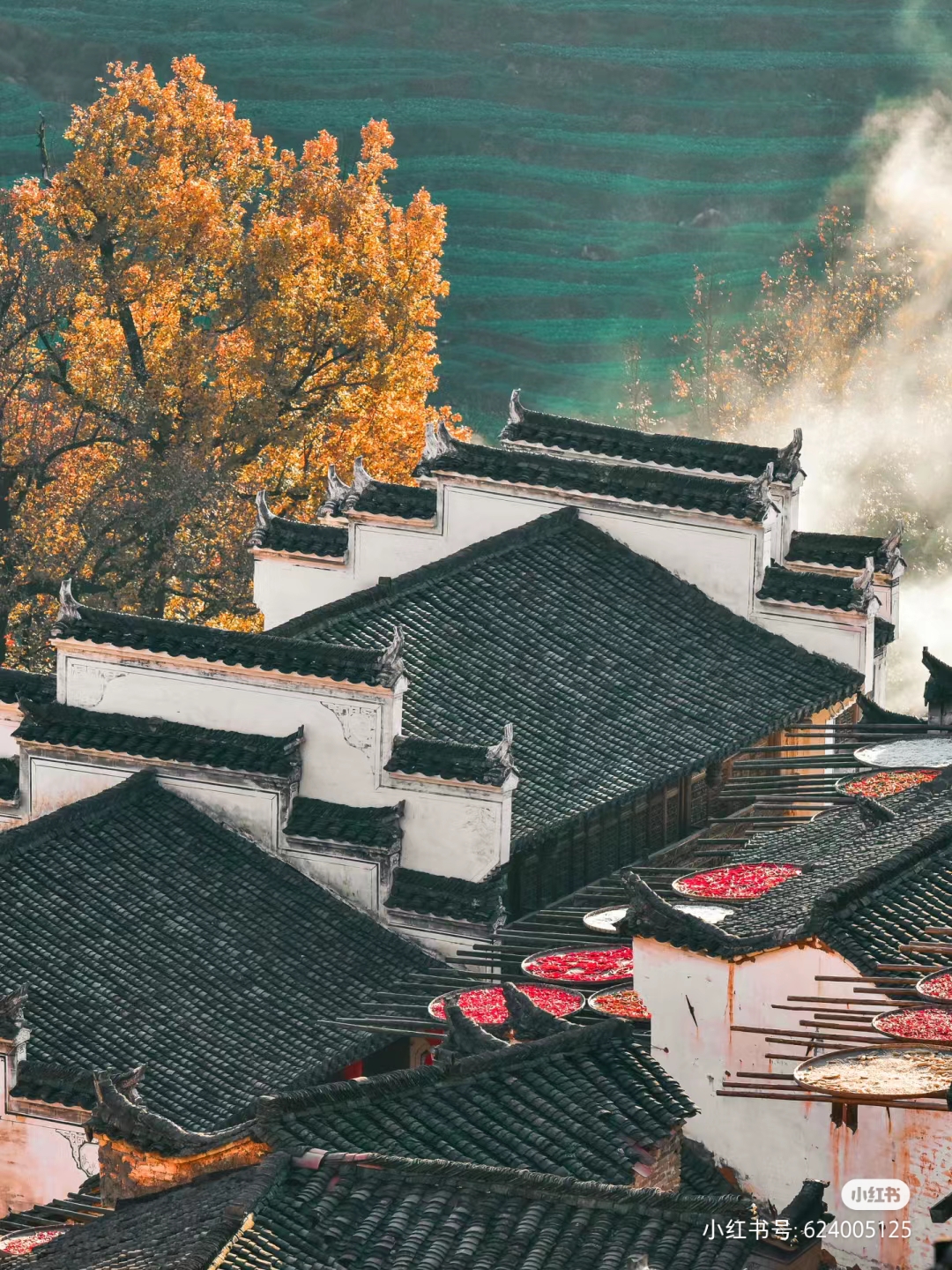 地方导游基础知识课程封面