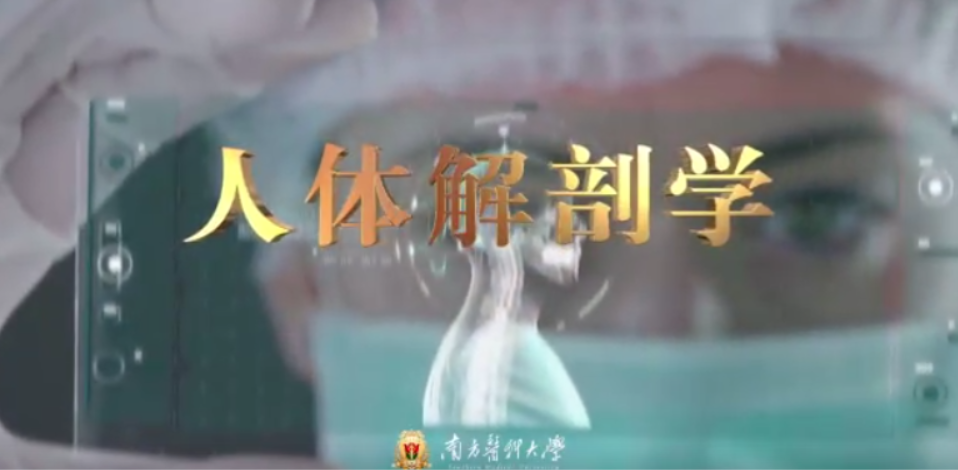 人体解剖学课程封面