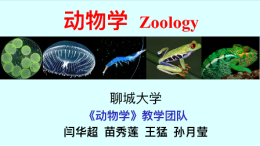 动物学课程封面