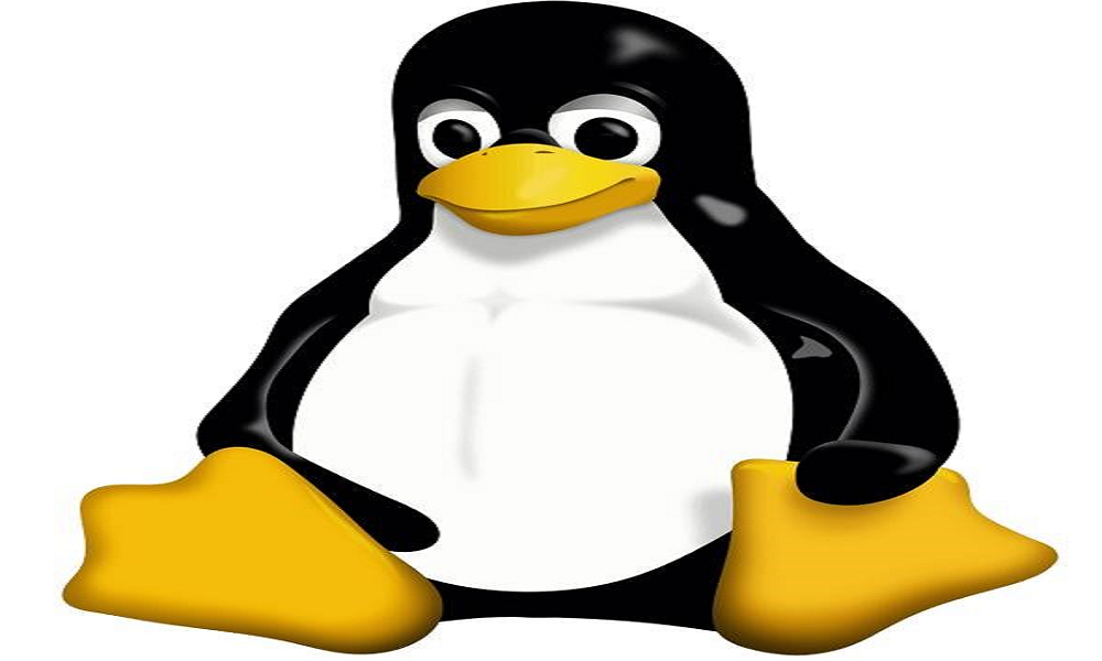 LINUX系统与应用课程封面