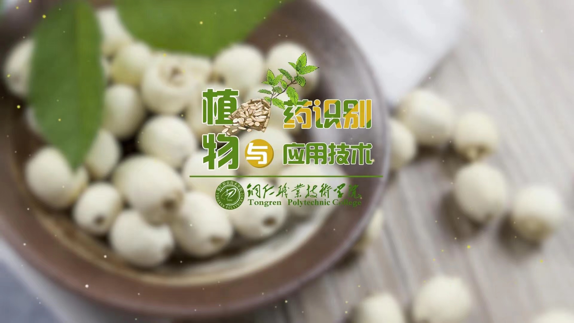 植物药识别与应用技术课程封面