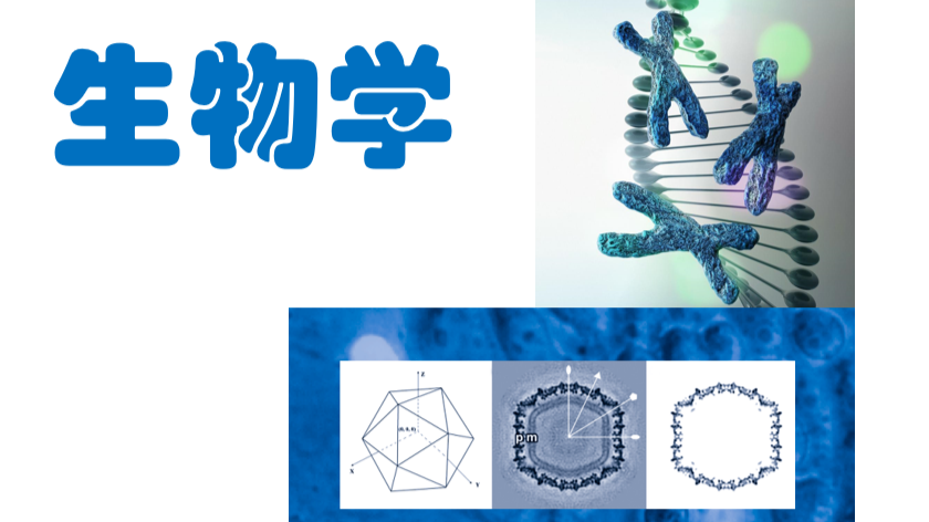 生物学课程封面