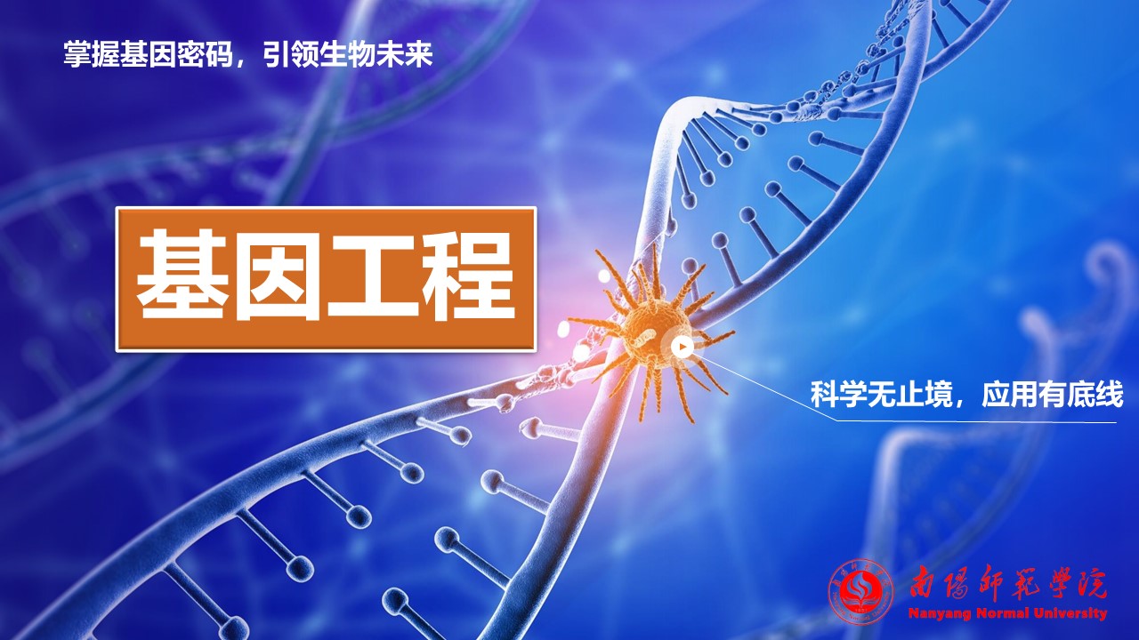 基因工程-2024年秋-22级生物科学-22级生物工程课程封面