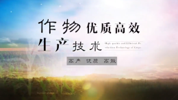 作物优质高效生产技术课程封面