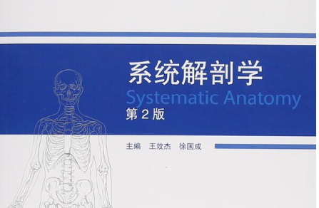 系统解剖学(影像)课程封面