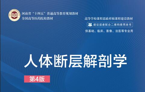断层解剖学课程封面