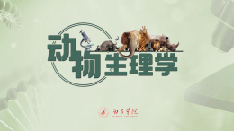 动物生理学课程封面