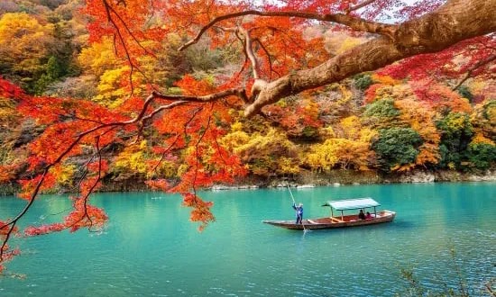 大外1（日语）课程封面
