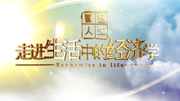 智慧人生——走进生活中的经济学课程封面
