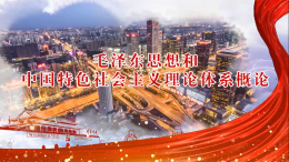 毛泽东思想和中国特色社会主义理论体系概论课程封面