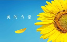 美的力量课程封面