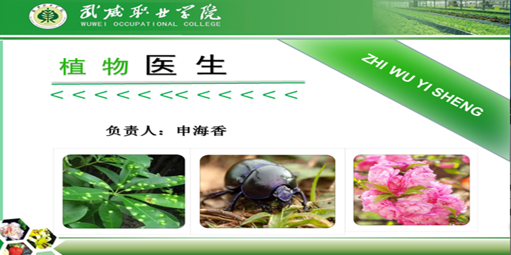 植物医生课程封面