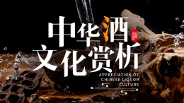 中华酒文化赏析课程封面