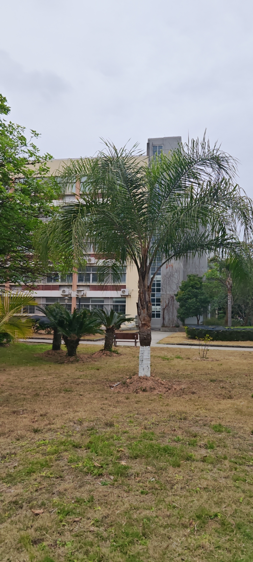 国际市场营销课程封面