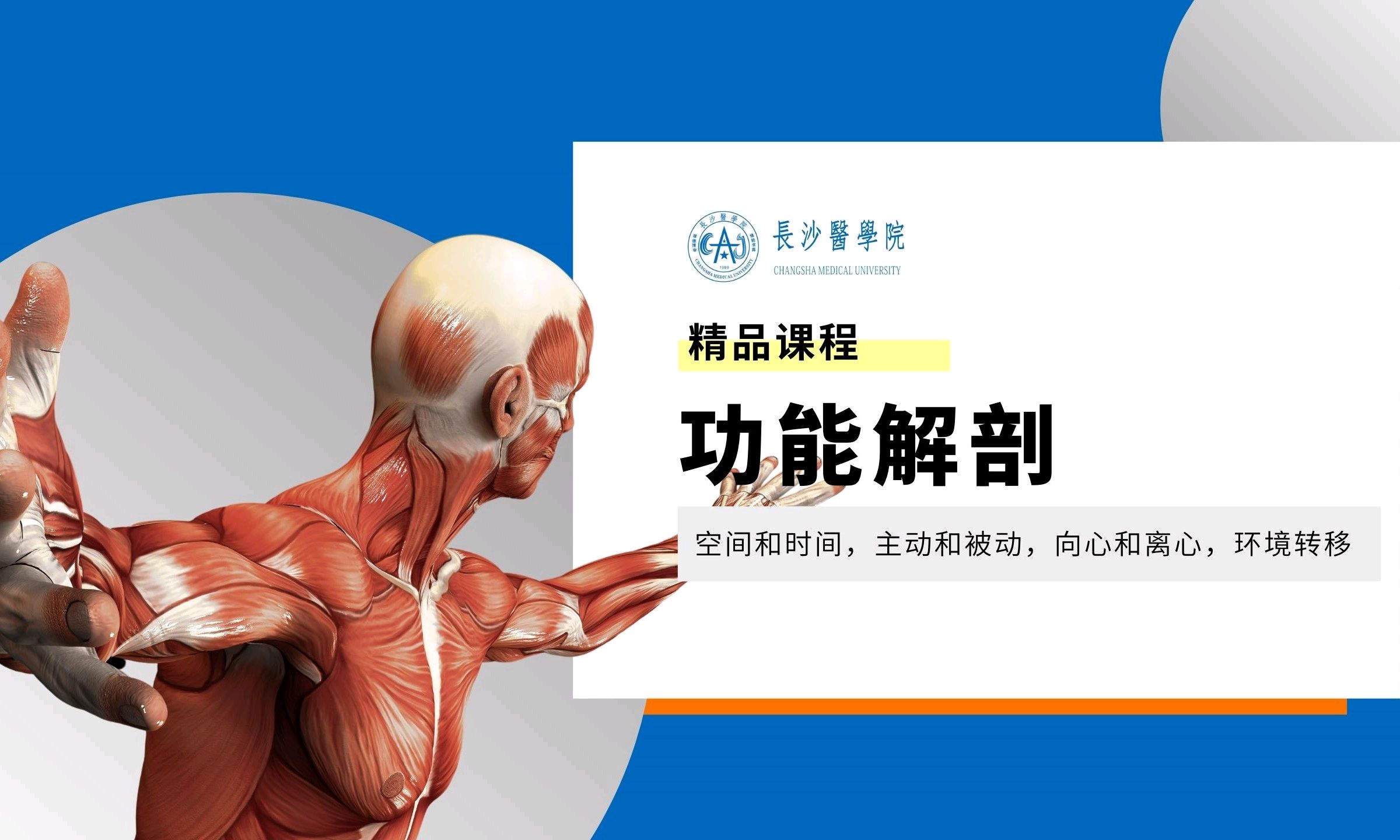 功能解剖课程封面