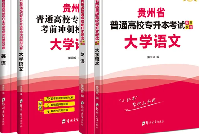 专升本大学语文课程封面