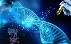 生命科学与伦理课程封面