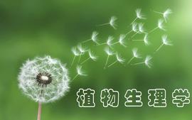 植物生理学（草业）23-24-第一学期课程封面