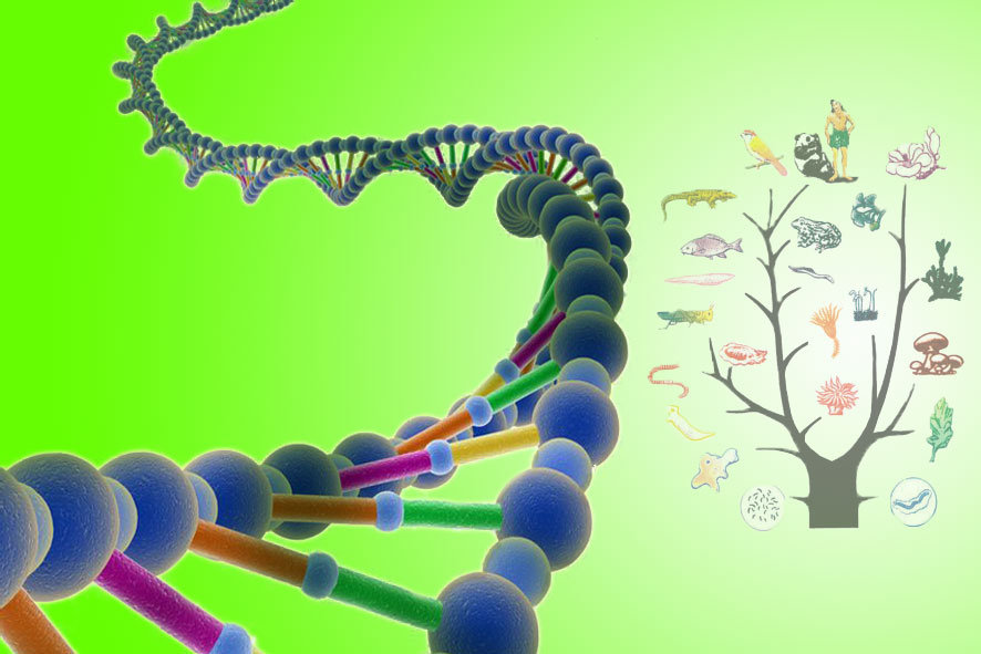 动物生物化学课程封面