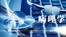 病理学（石河子大学）课程封面