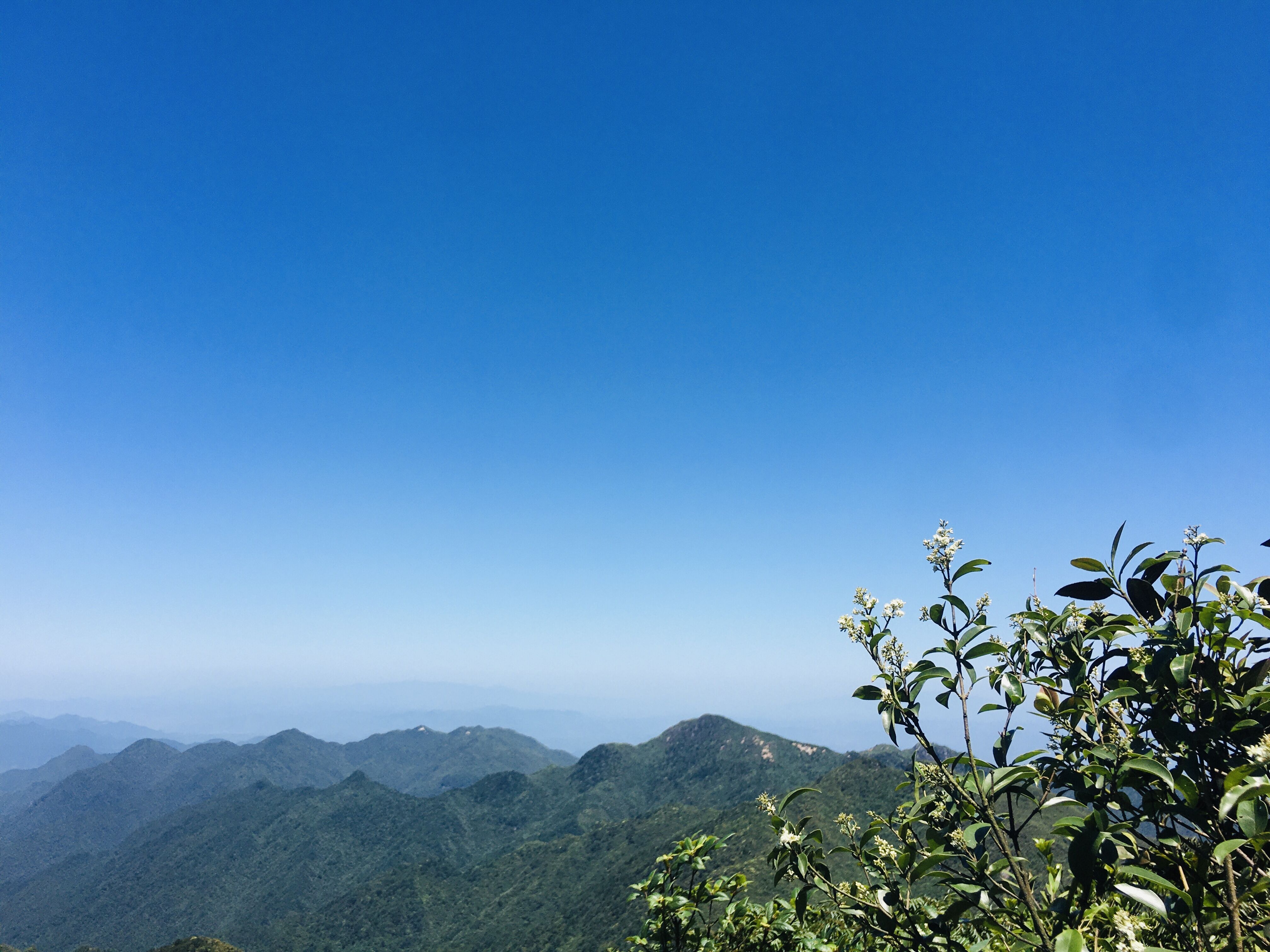 地方导游基础知识课程封面